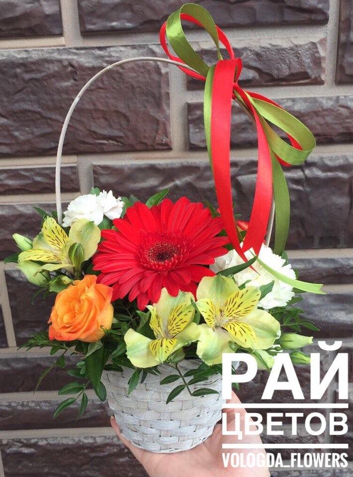 Цветы вологда. Рай цветов Вологда. Show Flowers Вологда. Радости цветы Вологда.